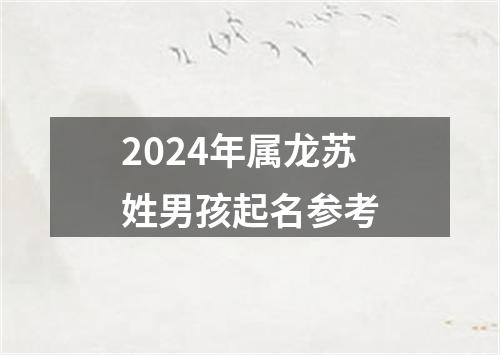 2024年属龙苏姓男孩起名参考