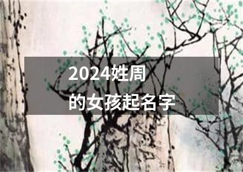 2024姓周的女孩起名字