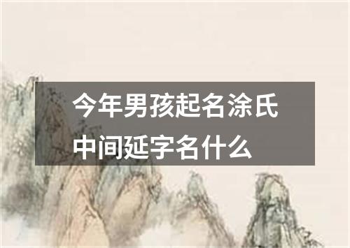 今年男孩起名涂氏中间延字名什么