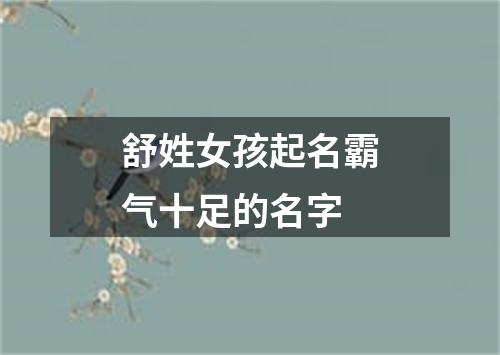 舒姓女孩起名霸气十足的名字