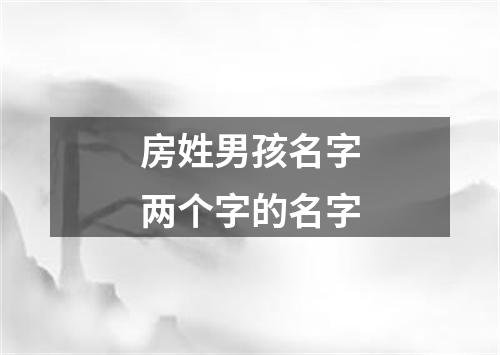 房姓男孩名字两个字的名字