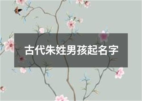 古代朱姓男孩起名字