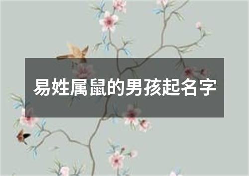 易姓属鼠的男孩起名字