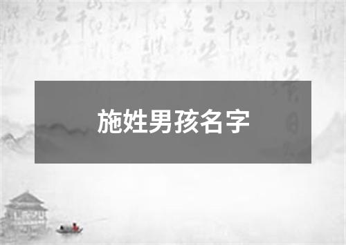 施姓男孩名字