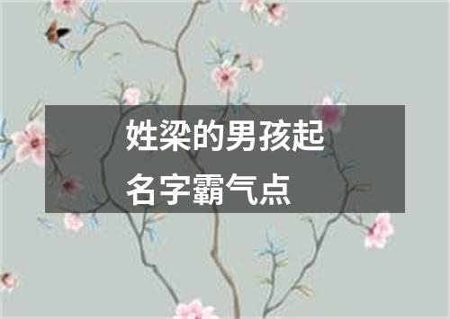 姓梁的男孩起名字霸气点