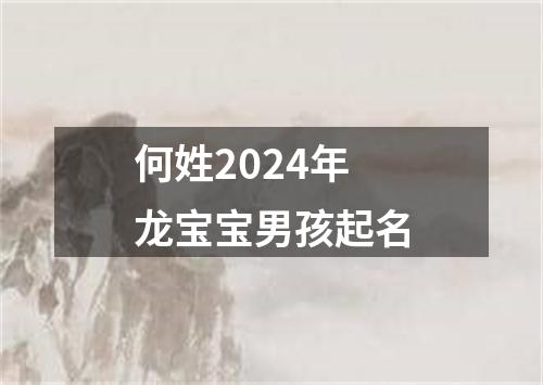 何姓2024年龙宝宝男孩起名