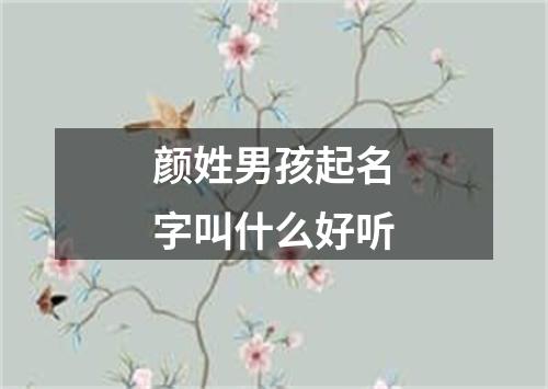 颜姓男孩起名字叫什么好听