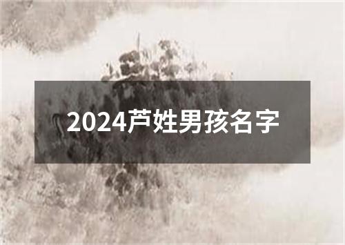 2024芦姓男孩名字