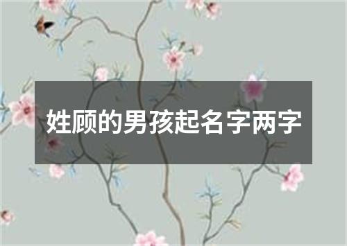 姓顾的男孩起名字两字