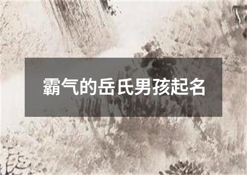 霸气的岳氏男孩起名