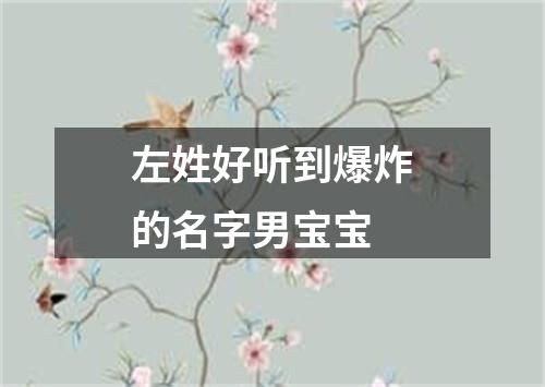 左姓好听到爆炸的名字男宝宝