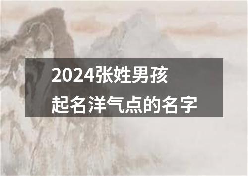 2024张姓男孩起名洋气点的名字