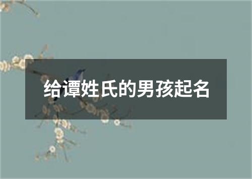 给谭姓氏的男孩起名