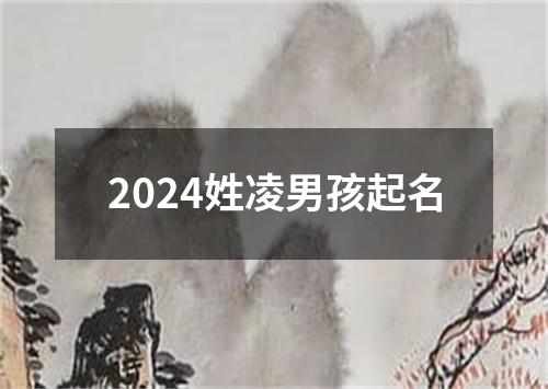 2024姓凌男孩起名