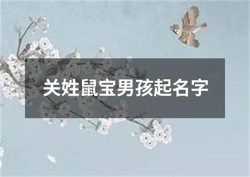 关姓鼠宝男孩起名字