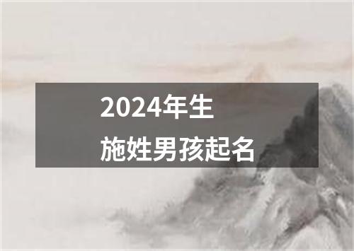 2024年生施姓男孩起名