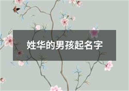 姓华的男孩起名字