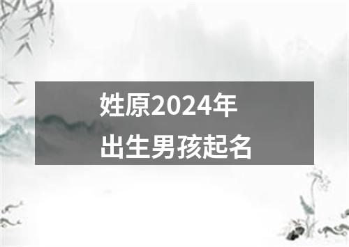 姓原2024年出生男孩起名