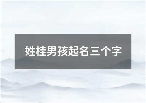 姓桂男孩起名三个字