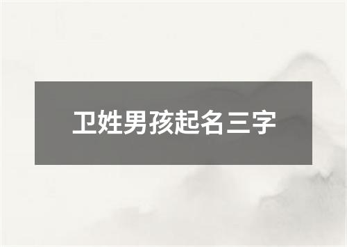 卫姓男孩起名三字