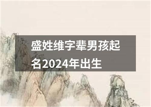 盛姓维字辈男孩起名2024年出生