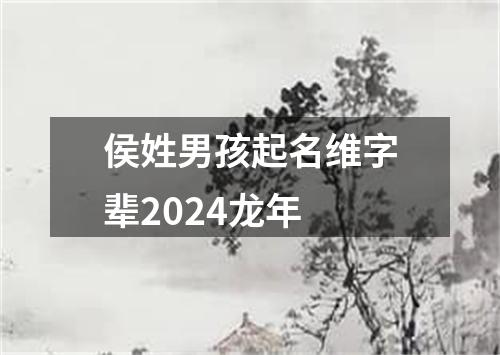 侯姓男孩起名维字辈2024龙年