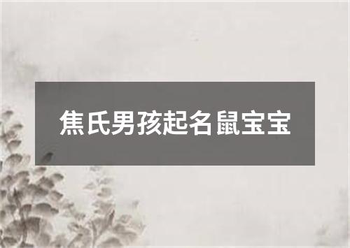 焦氏男孩起名鼠宝宝