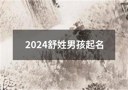 2024舒姓男孩起名