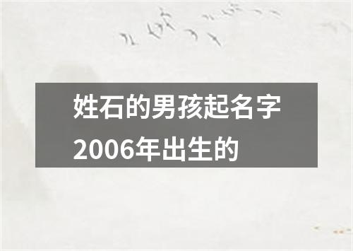 姓石的男孩起名字2006年出生的