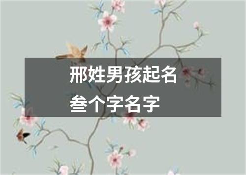 邢姓男孩起名叁个字名字