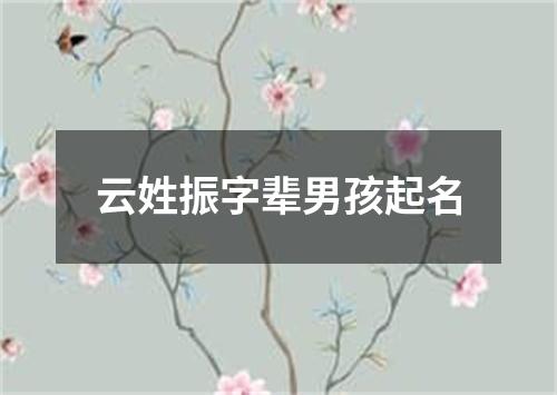 云姓振字辈男孩起名