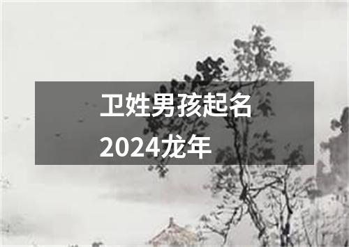 卫姓男孩起名2024龙年