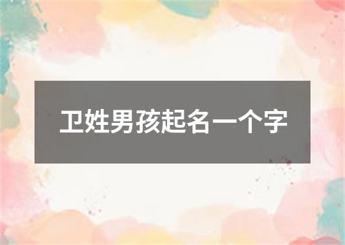 卫姓男孩起名一个字