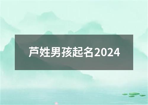 芦姓男孩起名2024