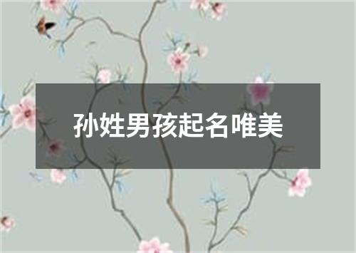 孙姓男孩起名唯美