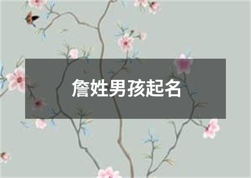 詹姓男孩起名