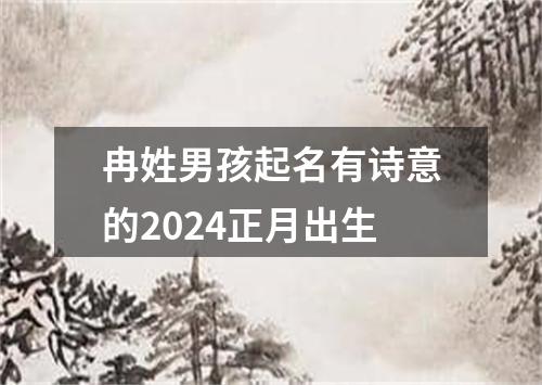 冉姓男孩起名有诗意的2024正月出生