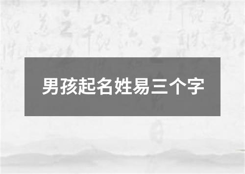 男孩起名姓易三个字