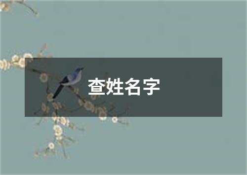 查姓名字