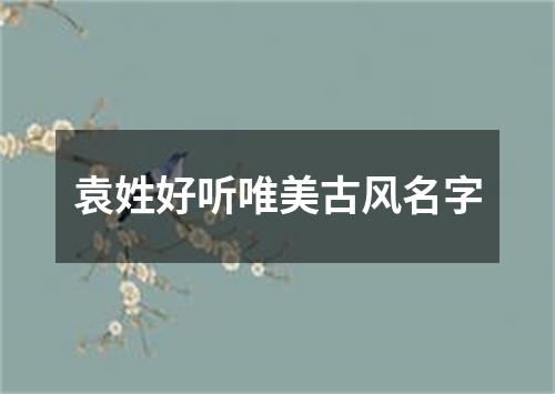 袁姓好听唯美古风名字