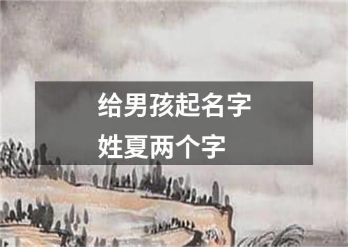 给男孩起名字姓夏两个字