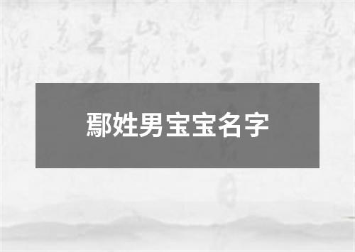 鄢姓男宝宝名字