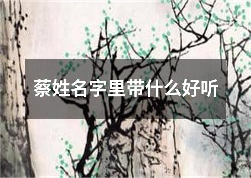 蔡姓名字里带什么好听