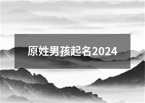 原姓男孩起名2024