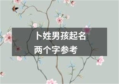 卜姓男孩起名两个字参考