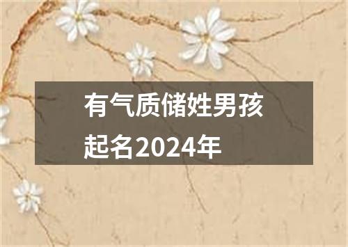 有气质储姓男孩起名2024年