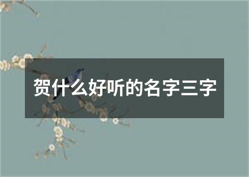 贺什么好听的名字三字