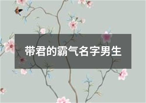 带君的霸气名字男生