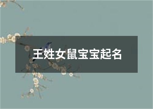 王姓女鼠宝宝起名