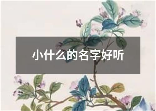 小什么的名字好听